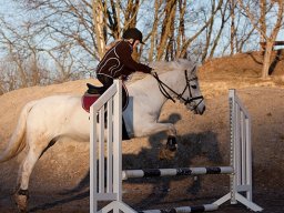 2011 Spring Marts